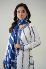 3 Piece Embroidered Lawn Suit | DW-EA25-60