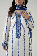 3 Piece Embroidered Lawn Suit | DW-EA25-60