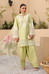 3 Piece Embroidered Dobby Suit | DW-EA25-66