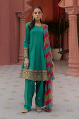 3 Piece Embroidered Lawn Suit | DW-EF25-10
